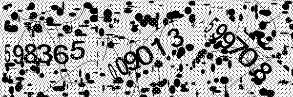 Omogućite preuzimanje slika u Internet pretraživaču.