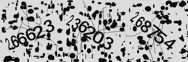 Please enable image downloads in your browser.