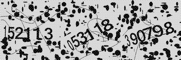 Please enable image downloads in your browser.