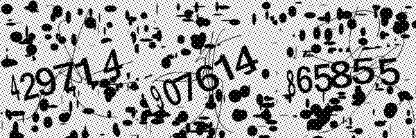 Please enable image downloads in your browser.